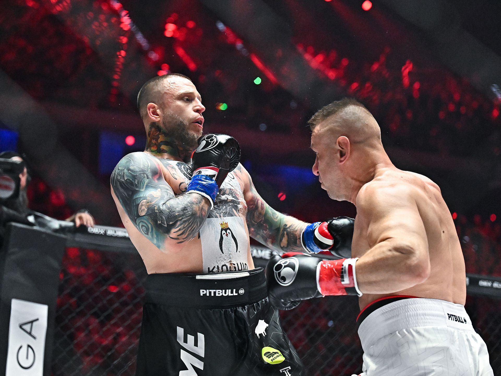 Przegrał z Adamkiem i nie gryzł się w język. Tak podsumował walkę na Fame MMA