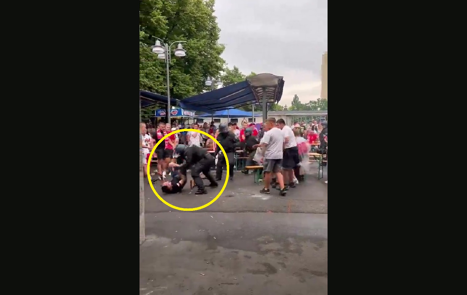 Policjant rzucił się na Polaka. Zadyma na EURO [WIDEO]