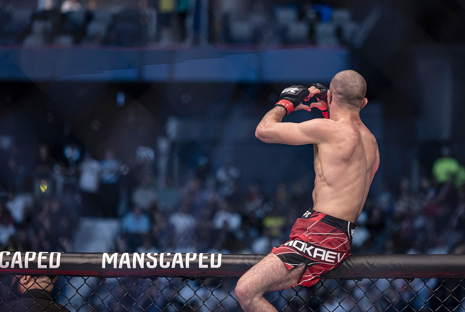 Kuriozum. Został zwolniony z UFC i chce walczyć za darmo