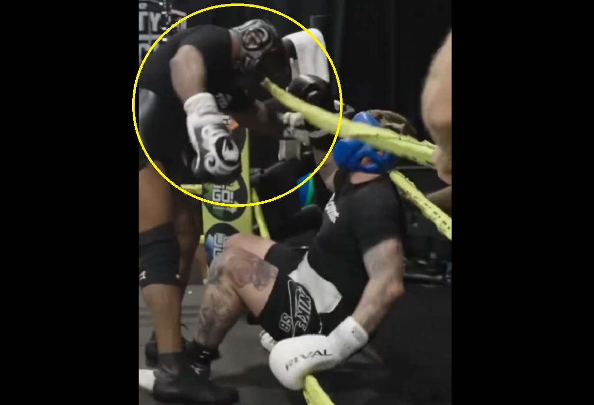 58-letni Tyson wciąż potrafi. Tak posłał sparingpartnera na deski [WIDEO]