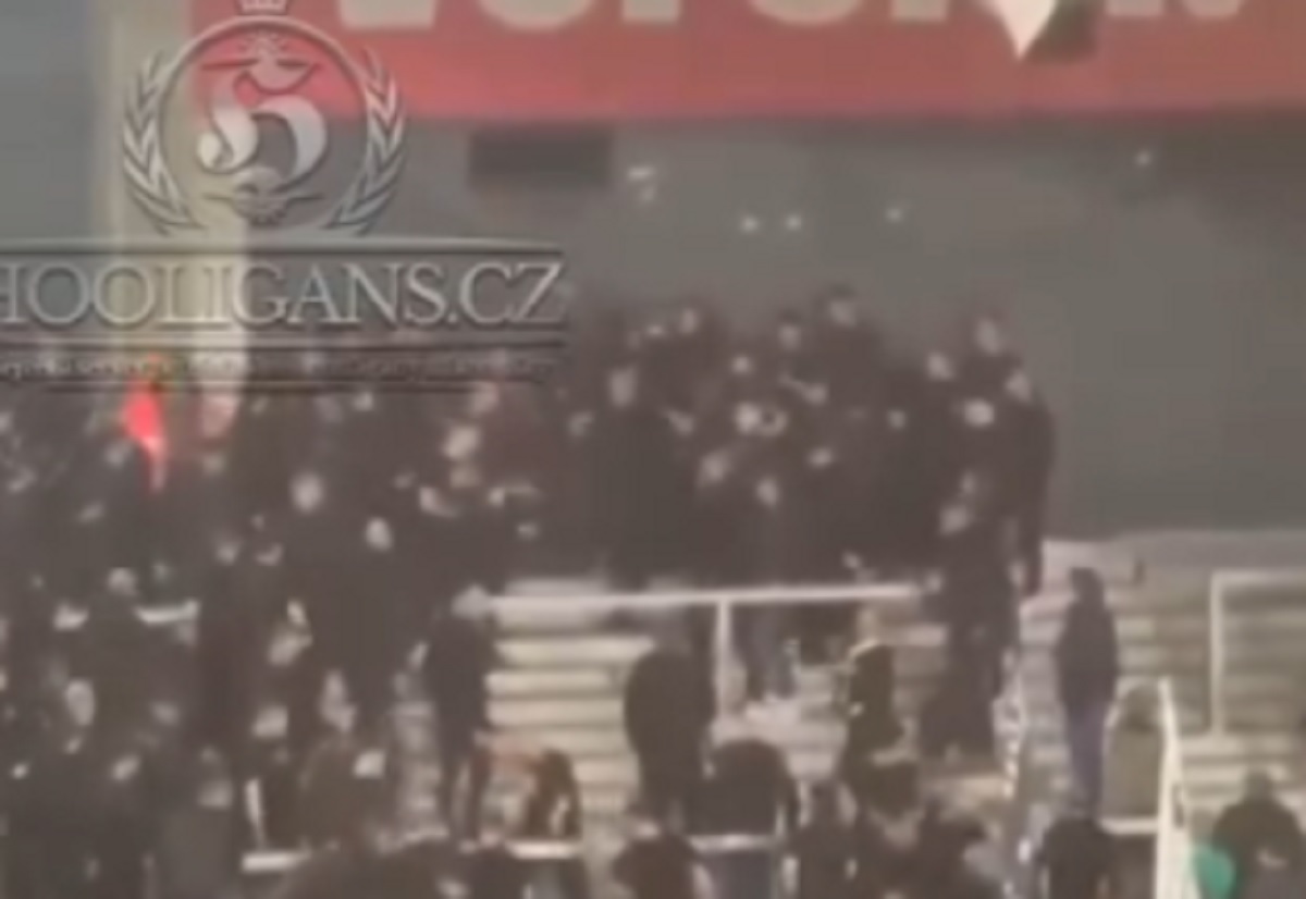 Skandal podczas meczu pucharowego. Bójka kibiców tej samej drużyny [WIDEO]