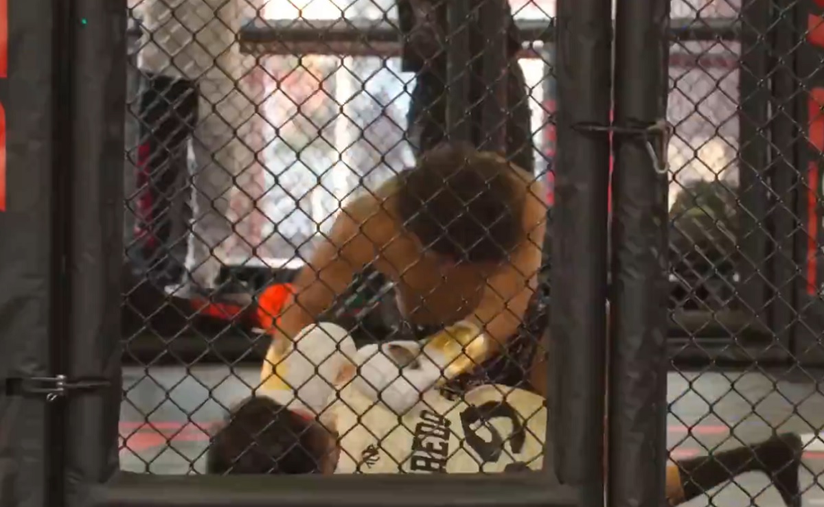 Zawodnik UFC nie wytrzymał. Uśpił YouTubera podczas sparingu [WIDEO]