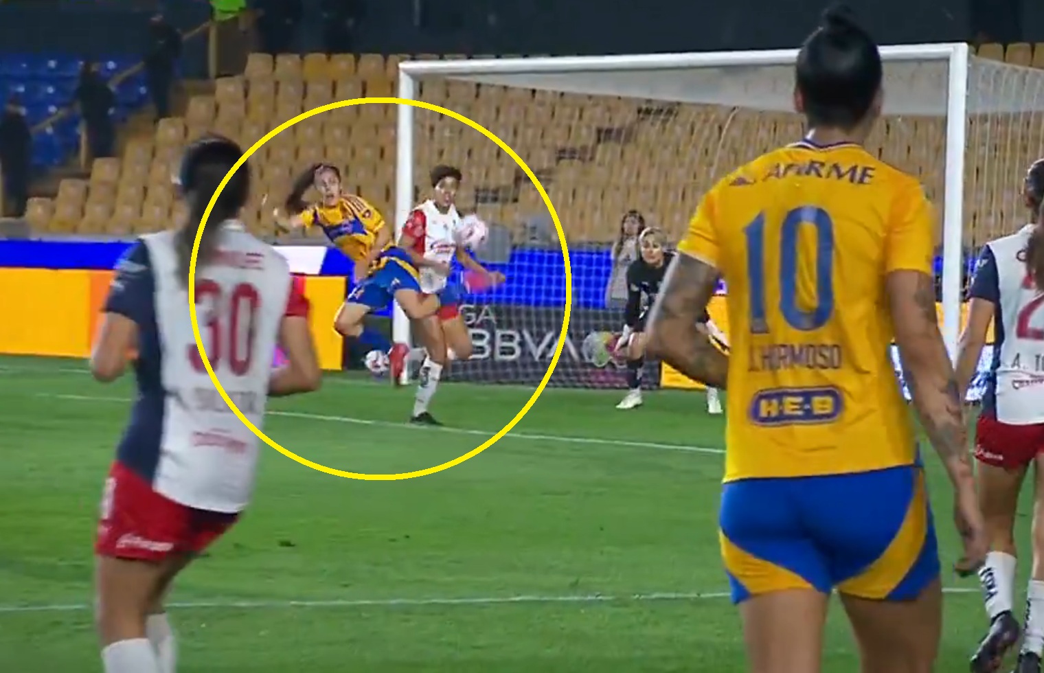 Co za gol! Aż włosy stają dęba. Nic, tylko patrzeć i podziwiać [WIDEO]