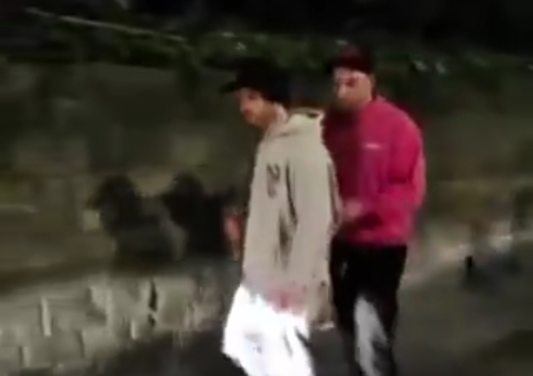 Grealish ledwo chodził. Guardiola ocenił zachowanie podopiecznego [WIDEO]