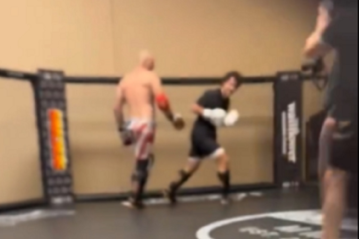Gwiazdor UFC zlał YouTubera. Boli od samego patrzenia [WIDEO]