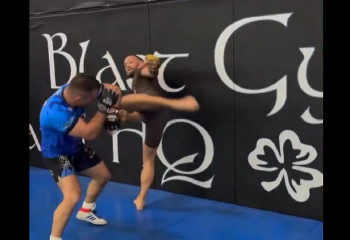 McGregor powrócił na matę. Sparował z polskim zawodnikiem [WIDEO]