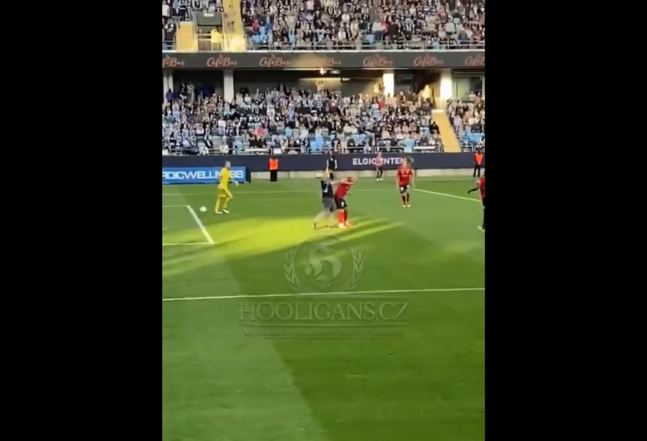 Kibic zaatakował piłkarza. Wstrząs w znanej lidze [WIDEO]