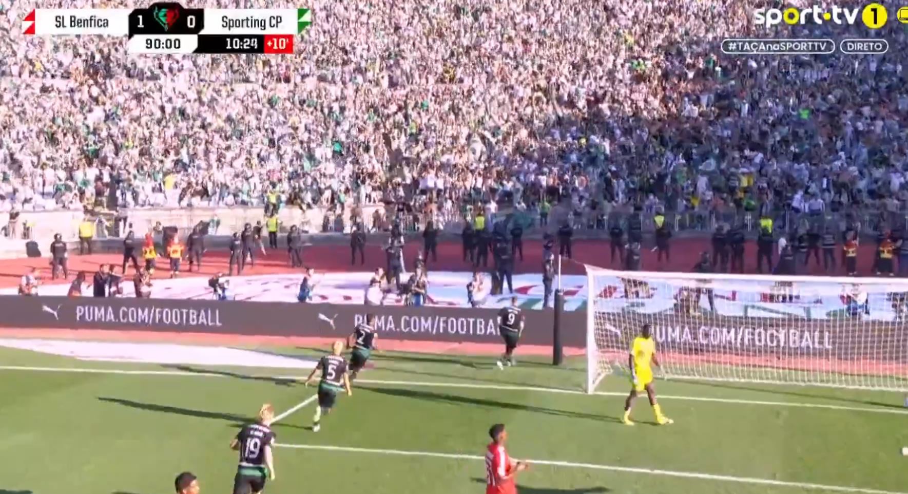 Niewiarygodne! Co za zwrot w finale, Gyokeres znów uratował Sporting [WIDEO]