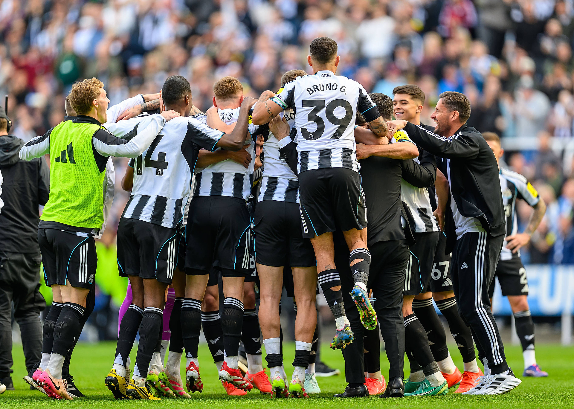 Nagła wtopa Newcastle United. Angielski klub od razu przeprosił
