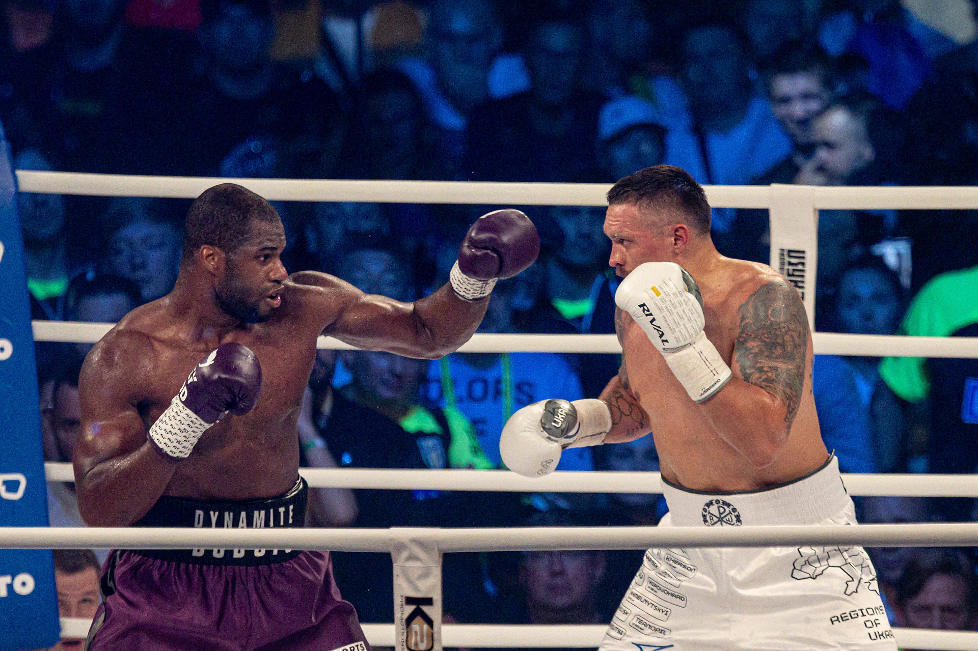 Usyk obronił tytuł mistrza świata! Wielki triumf Ukraińca [RELACJA]