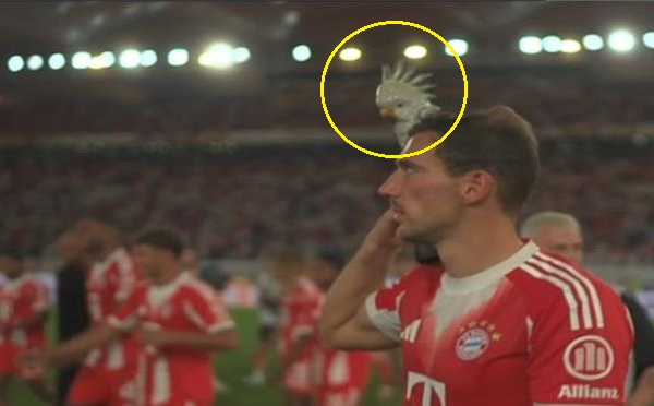 "Figurka-talizman" wróciła do Bayernu. Pojawiła się przy kolejnym trofeum [ZDJĘCIA]