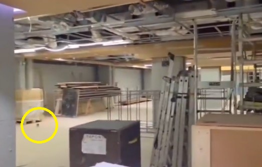 Szokujące nagranie z Camp Nou. W loży VIP biegał szczur [WIDEO]