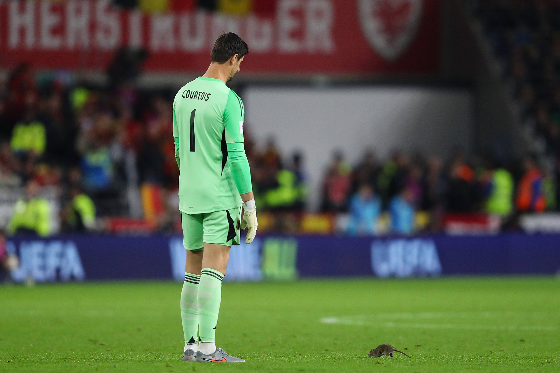 Nowa plaga brytyjskich stadionów? Courtois musiał interweniować [WIDEO]