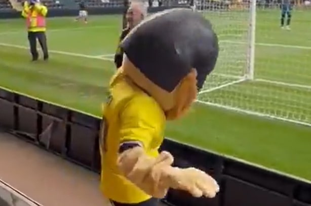 Maskotka wyrzucona ze stadionu. Cyrk w Pucharze Anglii [WIDEO]