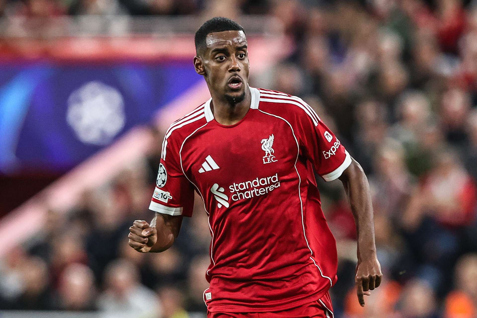 Dramat gwiazdora Liverpoolu. Będzie chronił go pies za 150 tys. zł