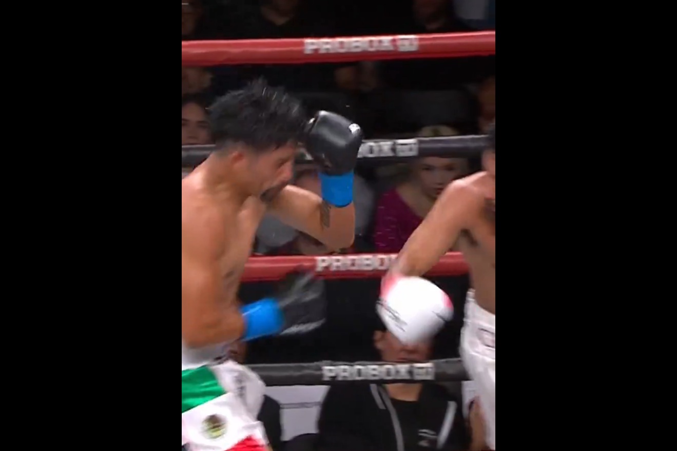 Co za grzmot. To był nokaut z piekła rodem [WIDEO]