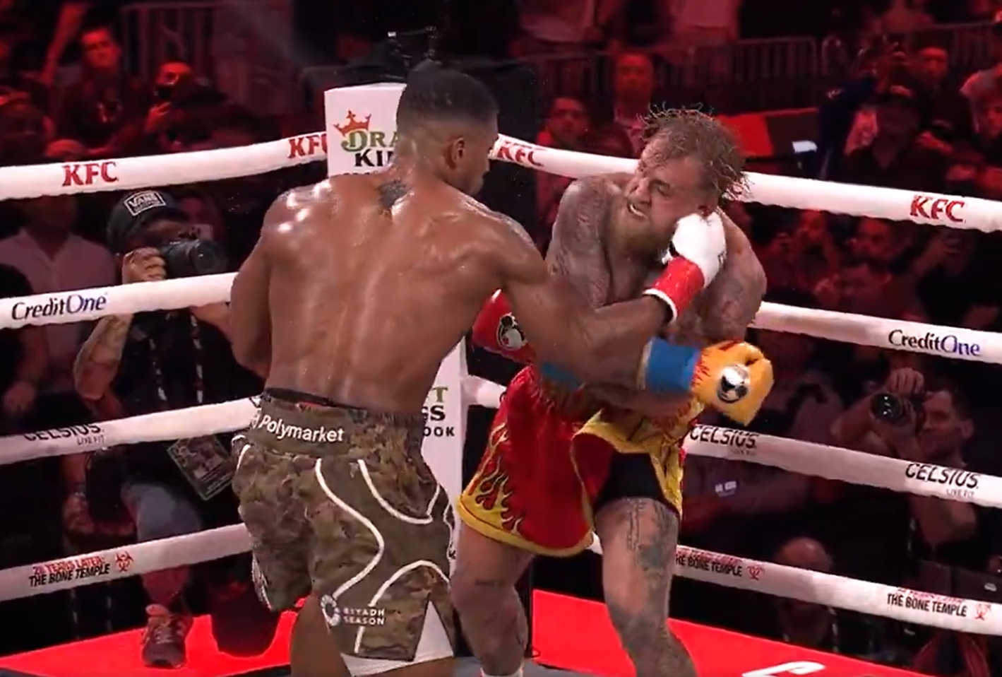 Szok! Tyle zarobili Joshua i Paul. Kosmiczna wypłata za sześć rund