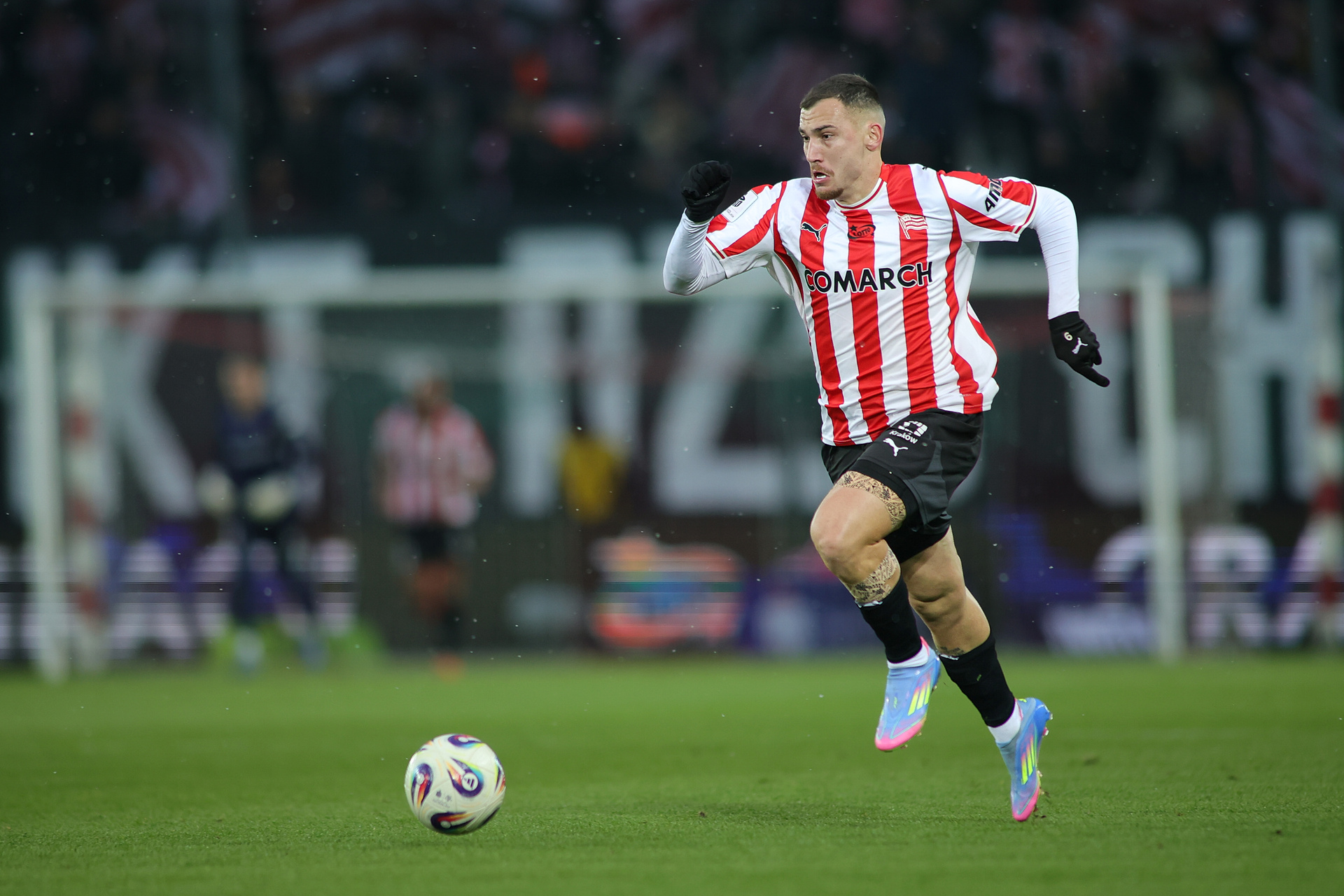 Włodarczyk o ofercie za Stojilkovicia. "Absurdalnie niska"