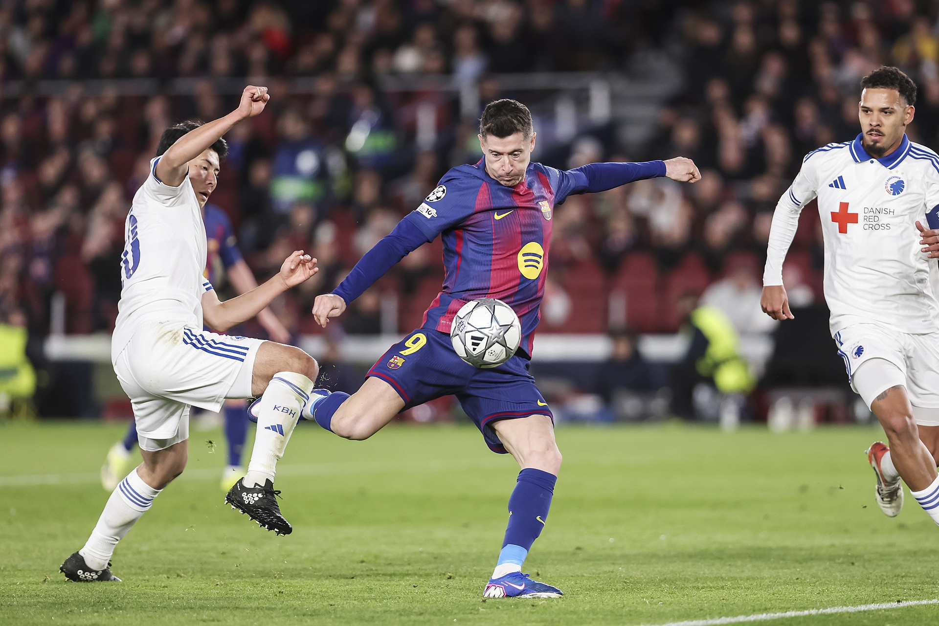 Nagłe wieści ws. Lewandowskiego. W Katalonii nie mają wątpliwości