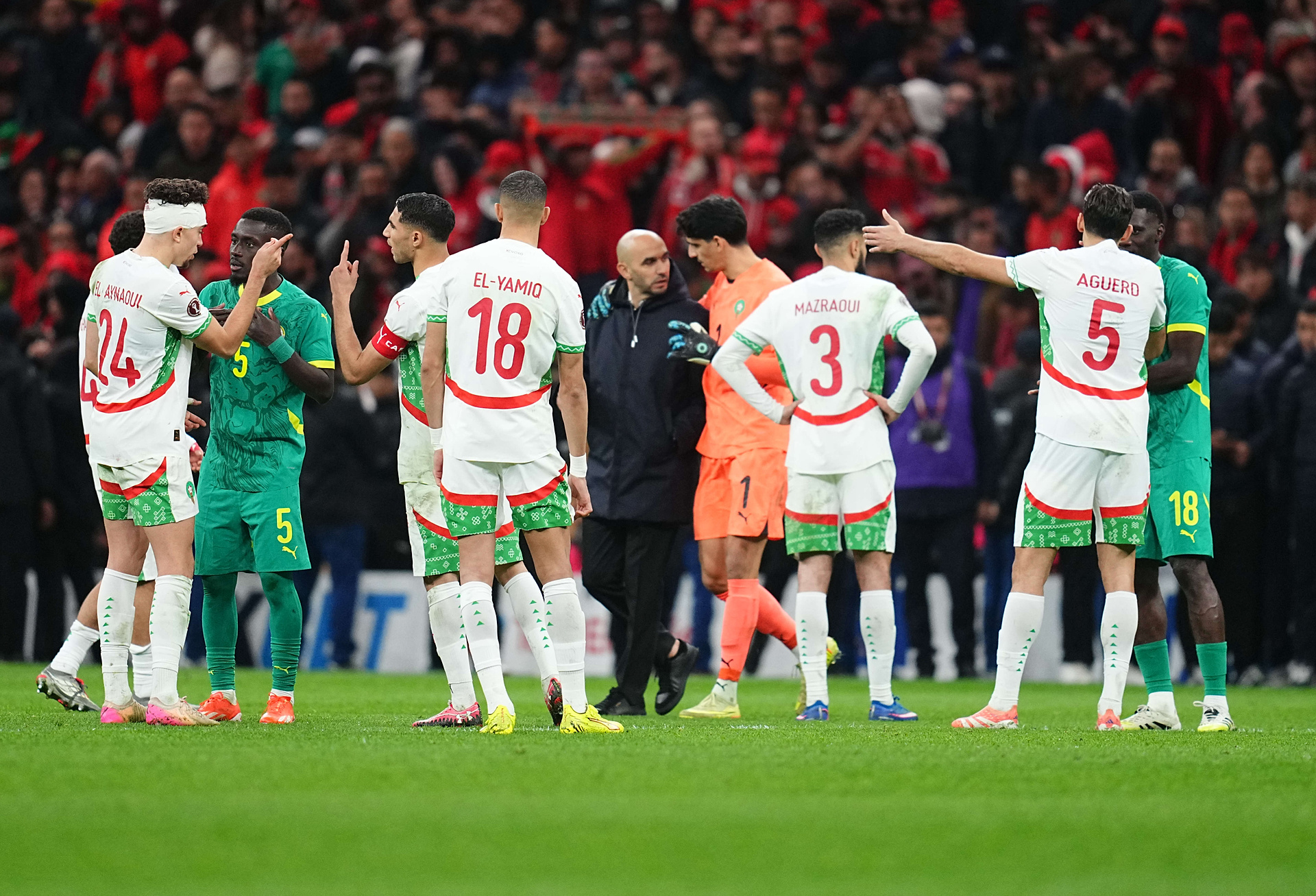 Media: Znany selekcjoner podał się do dymisji. Szok przed mundialem