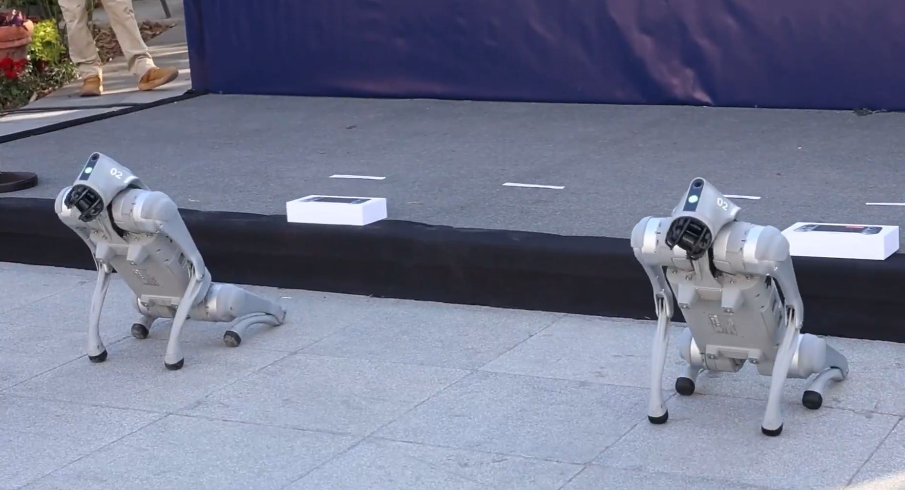 Czegoś takiego na MŚ jeszcze nie było. Technologiczna innowacja w Meksyku [WIDEO]