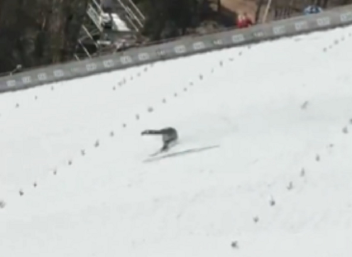 Dramatyczny upadek w Planicy. Nie był w stanie samodzielnie opuścić skoczni [WIDEO]