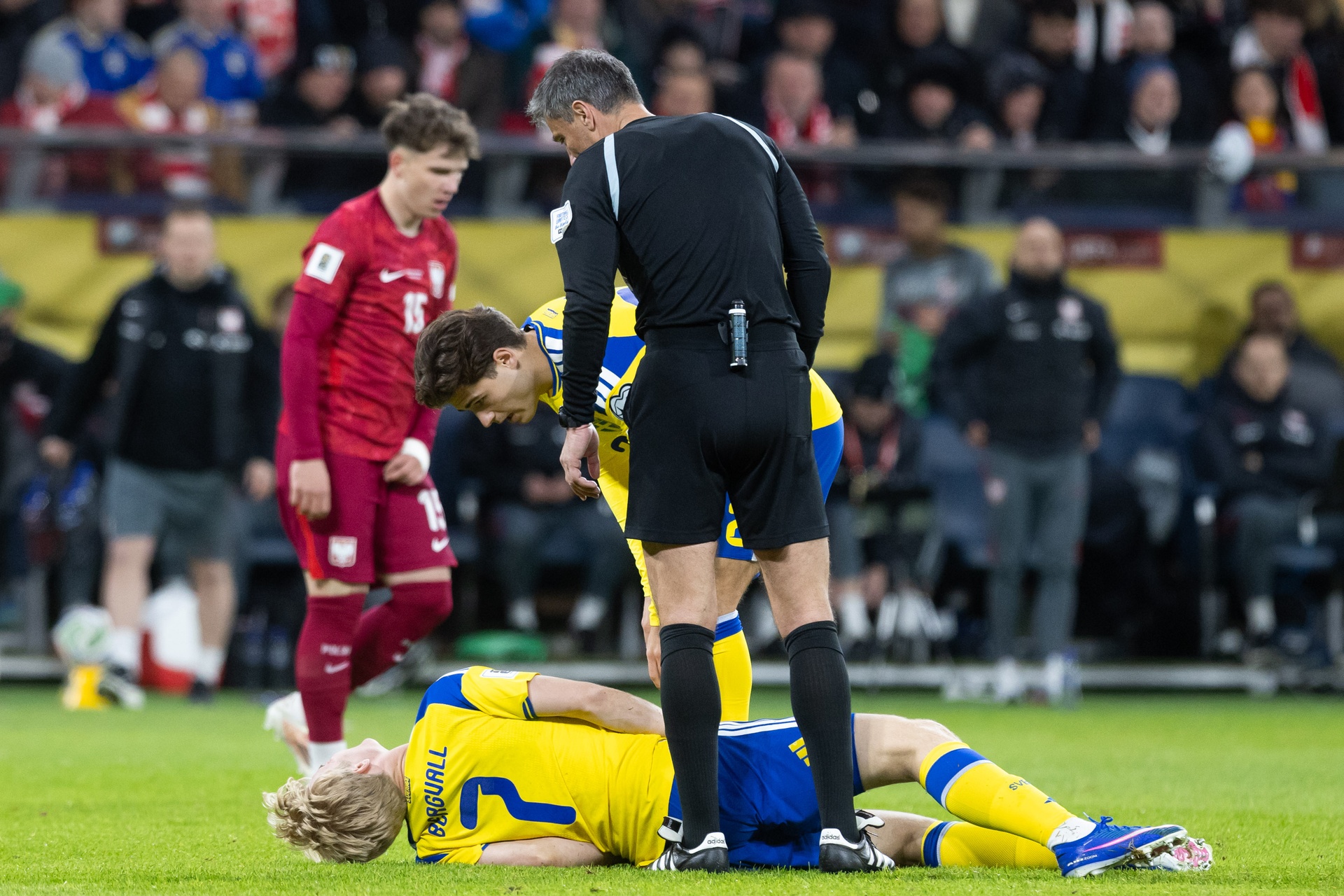 "Było warto dostać w krocze". Reprezentant Szwecji wypalił po awansie