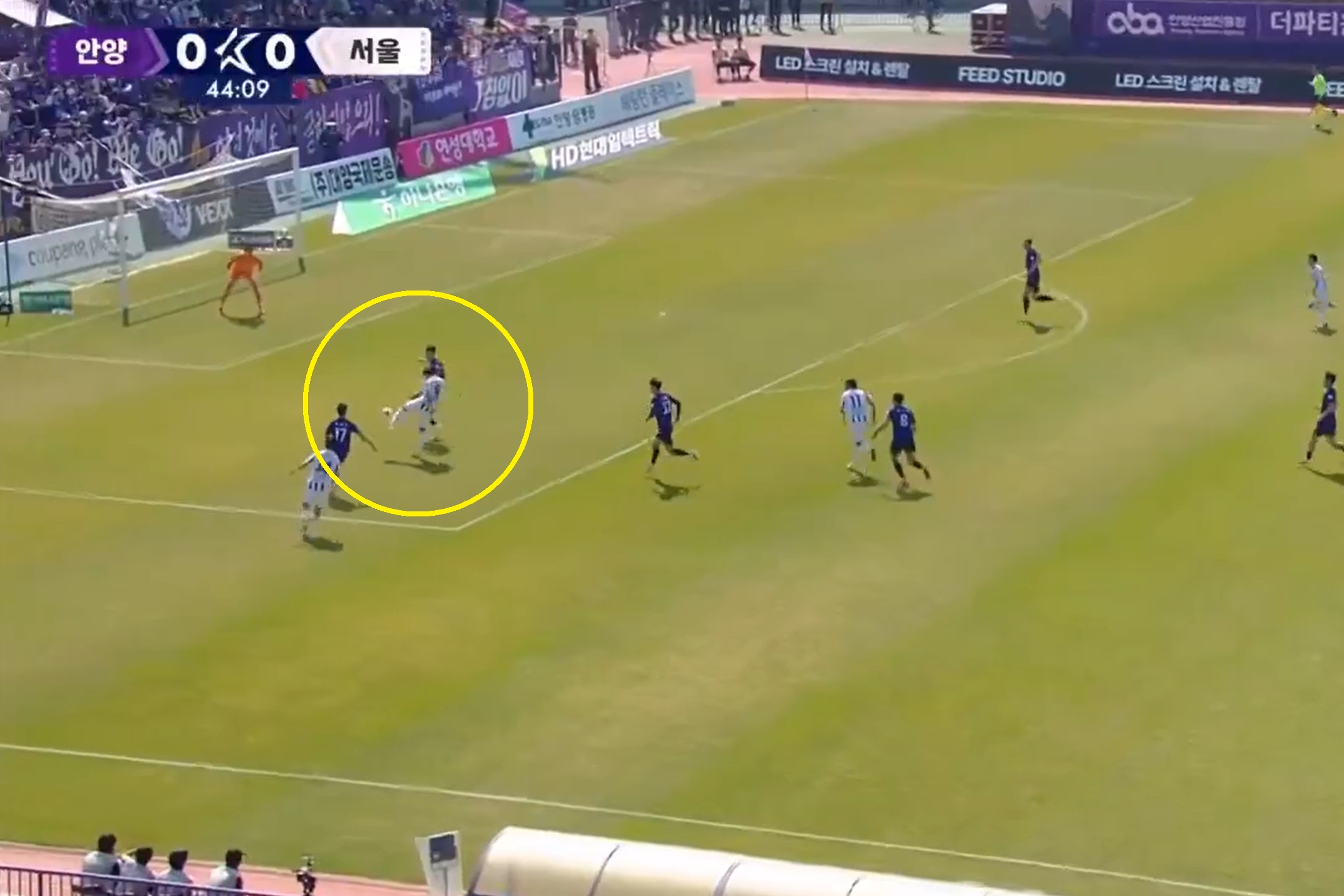 Ale urwał! Spektakularny gol polskiego napastnika [WIDEO]