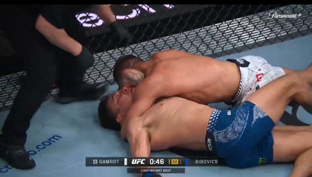 Spektakularny triumf Gamrota. Popis Polaka na gali UFC [WIDEO]