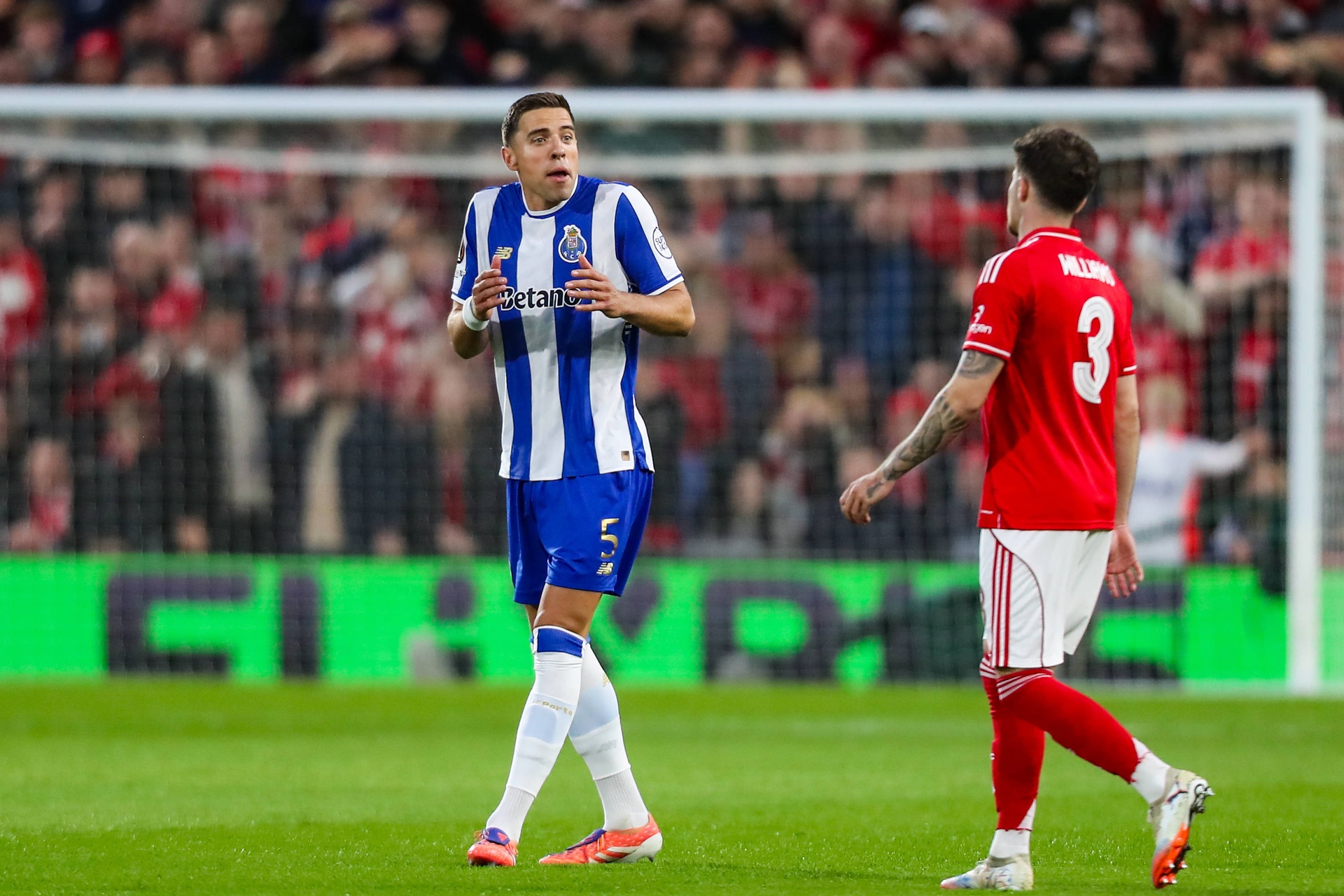 Portugalczycy bezlitośni dla Bednarka. "Lekkomyślny"