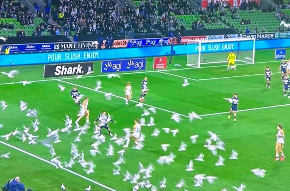 Inwazja "niechcianych intruzów" na boisku. Była 92. minuta meczu