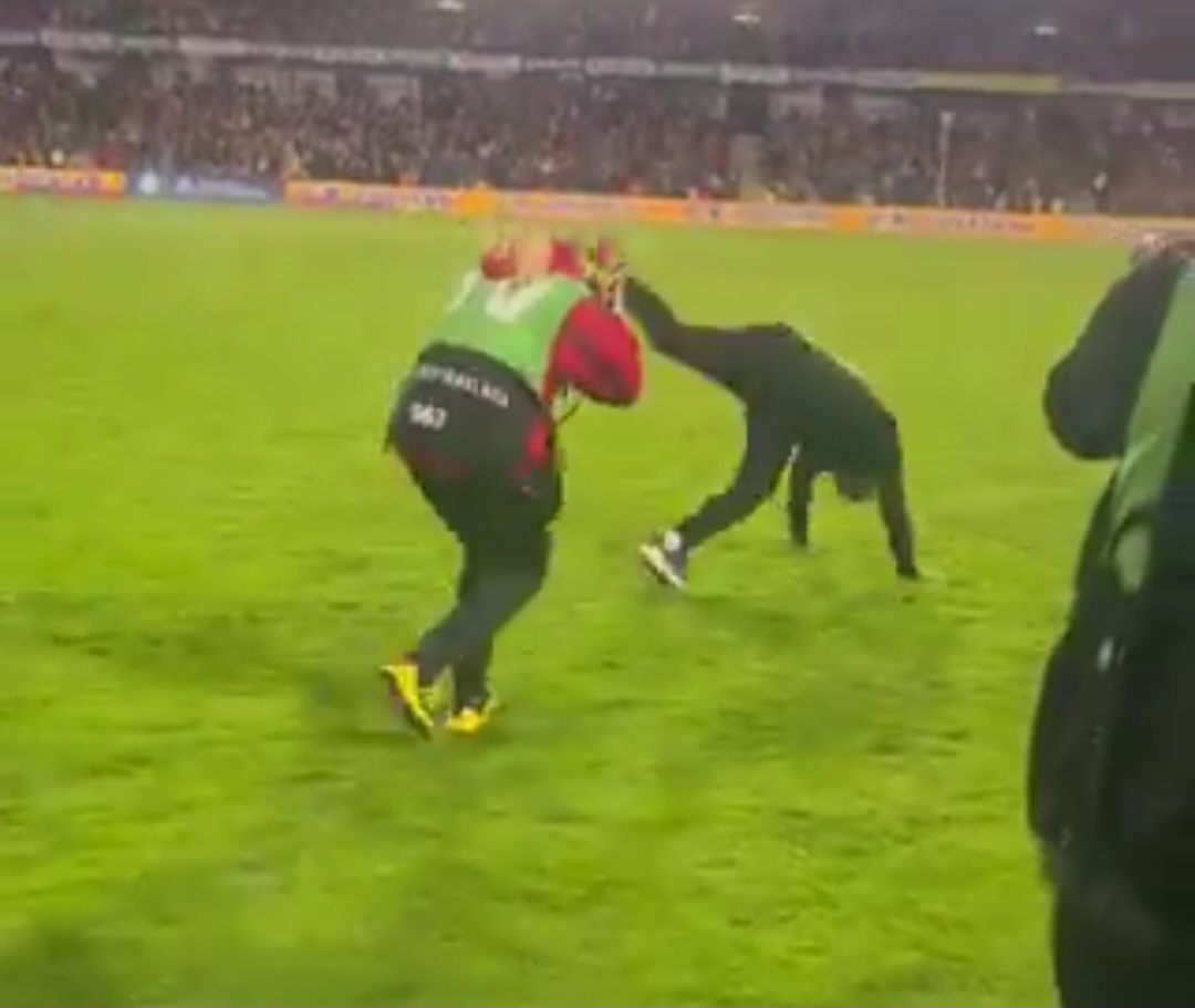 Szalona radość Zielińskiego. Zrobił to po triumfie nad Widzewem [WIDEO]