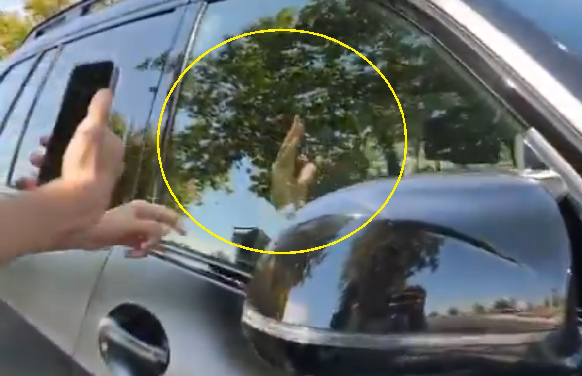 Kibice poprosili Viniego, żeby został w Realu. Tak zareagował [WIDEO]