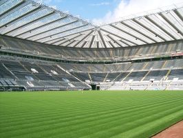 Kapitan Newcastle United nie będzie zawieszony