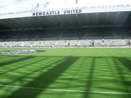 Newcastle kupuje obrońcę