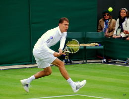 Janowicz zastąpi Federera