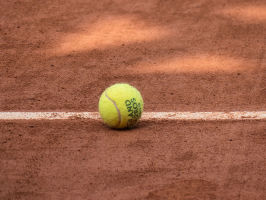 Janowicz znowu przegrał
