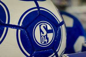 Schalke wypożyczyło piłkarza z Evertonu