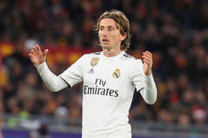 Modrić nigdzie się nie rusza. Pragnie zostać w Realu na dłużej