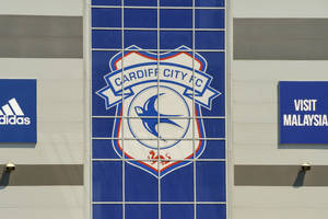 Cardiff City wypożyczyło napastnika