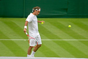 Wielkoszlemowy Wimbledon odwołany! Sezon tenisowy zawieszony aż do lipca