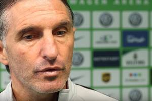 Media: Hertha Berlin kupi nowego napastnika. Trener Bruno Labbadia ma swojego faworyta