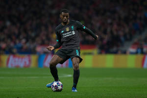 Georginio Wijnaldum wytłumaczył się z transferu do PSG. Ważna rola Mauricio Pochettino