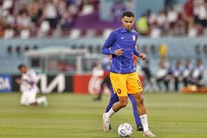 "Powiedział mi, że Liverpool to rodzina". Gakpo zdradził, kto przekonał go do transferu
