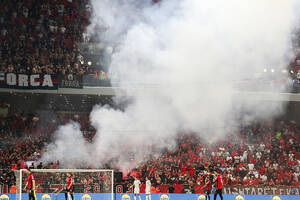 Piekło na stadionie w Tiranie. Kibicka reprezentacji Polski uderzona butelką. "Całą drogę płakała"