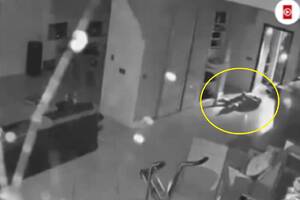 Szokujący film. Tak zatrzymano znanego trenera. "Policja ubolewa" [WIDEO]