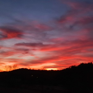 BORUTA7